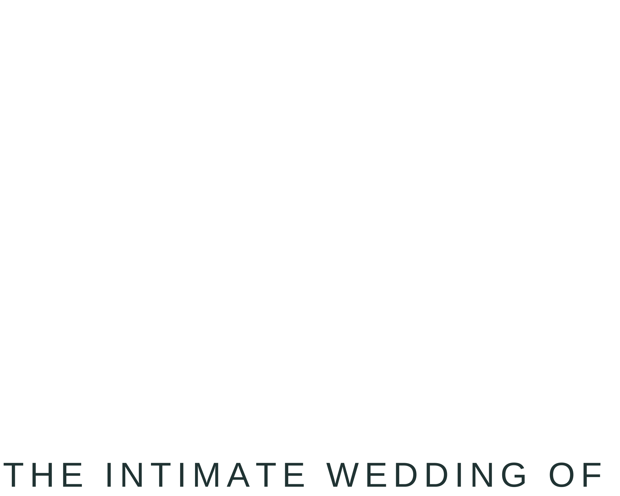 HE WEDDING OF (1)