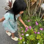 WhatsApp Image 2025-10-09 at 09.14.30